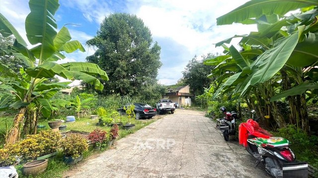 ขายที่ดินเปล่าถนนโชตนา ต.ช้างเผือก เชียงใหม่ ทำเลดี 1-3-83.6 ไร่