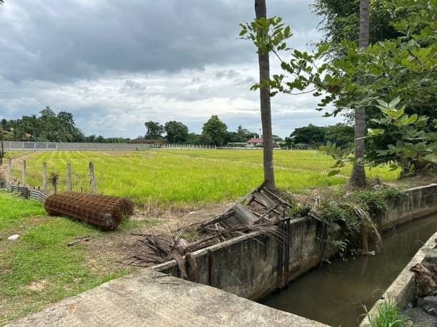 ผังสีเหลือง โซนสันทราย ขายที่ดินตรว.ละ 11,000 บาท เนื้อที่รวม 4 ไร่ วิวทุ่งนาสวย บรรยากาศดี เหมาะสำหรับสร้างบ้านขาย