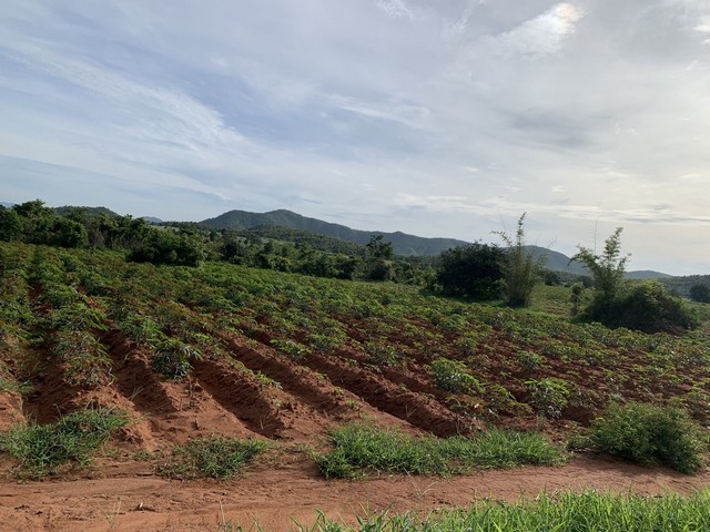 ขายที่ดิน เนื้อที่ 6 ไร่ ราคาถูกเเปลงเล็ก ต.หนองโรง อ.พนมทวน จ.กาญจนบุรี