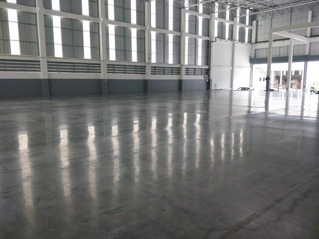 EPL-BR1229 ขาย-ให้เช่าโกดัง โรงงาน บางนา-ตราด กม.19 บางพลี  ที่ดิน : 1 ไร่ 57 ตารางวา พื้นที่ตามแนวเขตที่ดิน : 1,736.97 ตารางเมตร