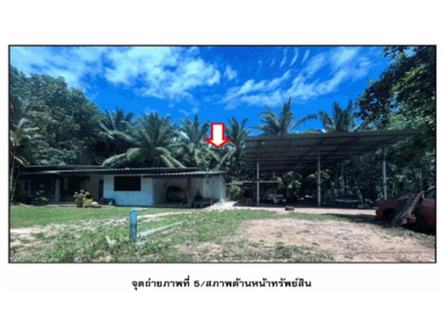 ขายบ้านเดี่ยวมือสอง  อำเภอบ้านตาขุน  จังหวัดสุราษฎร์ธานี