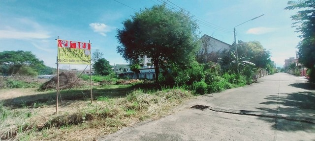 ขายที่ดิน 240 ตารางวา  ใกล้เซ็นทรัลนครสวรรค์  วัดไทร  เมืองนครสวรรค์   ZK324