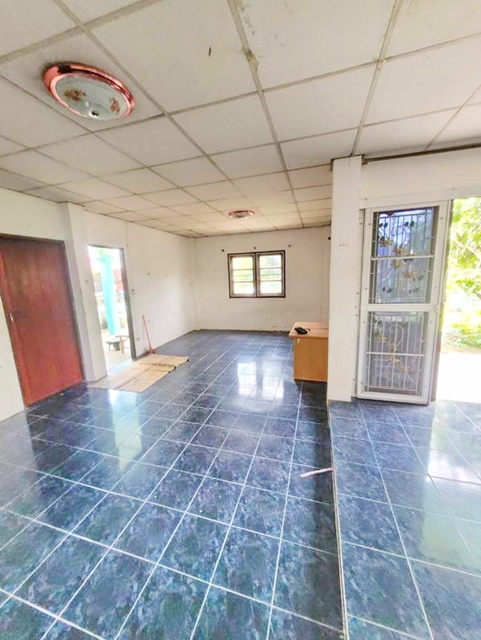 รร.กสิณธรวิทยา 1.1 กม. เดอะมอลล์บางแค 3 กม.  รร.อัสสัมชัญธนบุรี 1 กม. บ้านเดี่ยว ให้เช่า 2 ชั้น  พุทธมณฑล สาย2  50ตรว วัดบุณยประดิษฐ์