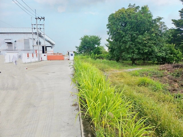 ขายที่ดินแถมสิ่งปลูกสร้าง ????มาบไผ่​ อ.บ้านบึง​ จ.ชลบุรี ✴️บนเนื้อที่​ 3​  ไร่​  ผังสีเหลือง