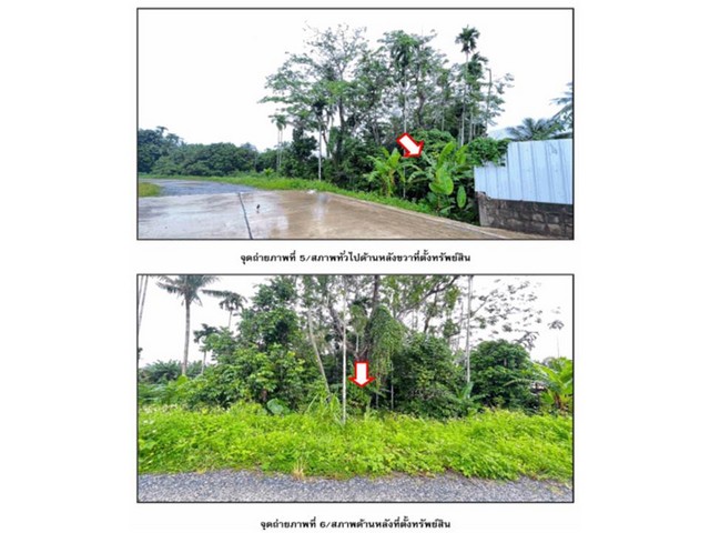 ขายบ้านเดี่ยวมือสอง  อำเภอบ้านตาขุน  จังหวัดสุราษฎร์ธานี