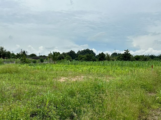 คอนโดพร้อมอยู่ ใกล้สุขุมวิท เซ็นทรัลชลบุรี (คอนโด อินฟินิตี้ วัน) TP-C0435