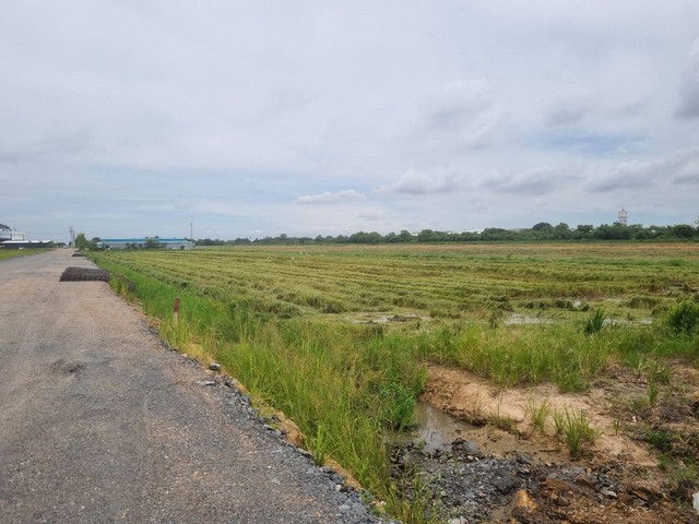 ขายที่ดิน 15-20 ไร่ หน้ากว้าง ผังม่วง  อ.เมือง ฉะเชิงเทรา  เหมาะสร้างโรงงาน