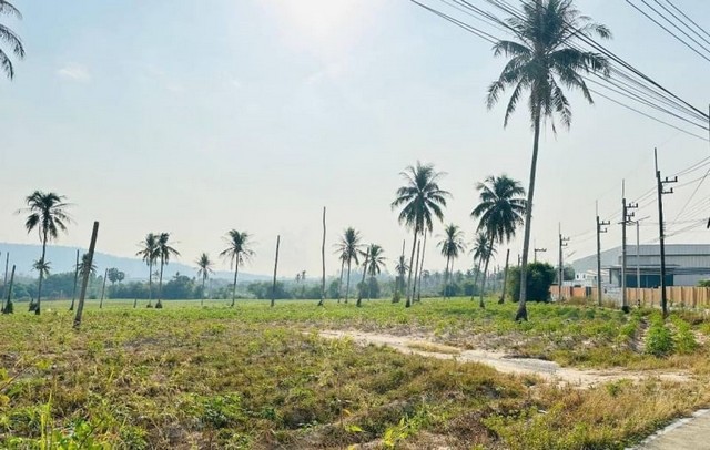 TEL:088-559 5199 คุณเอLine: https://line.me/ti/p/C0eGe0whLXขายที่ดินเปล่า สำหรับสร้างโรงงาน ผังสีม่วงลายพิกัด : หุบบอน - เขาคันทรง ศรีราชาราคาขายไร่ละ 4,500,000 บาท( 231,327,000 บาท )รวมโอน + ภาษีเนื้อที่ 51-1-62.4 ไร่ (มีสองโฉนด)- ถนน น้ำประปา / ไฟฟ้า 3 เฟสครบ- ถนนคอนกรีตกว้าง 10 เมตร- สามารถทำโรงงานอุตสาหกรรม- สร้างโกดัง- หน้าติดถนน 340 เมตร ลึก 336 เมตรสถานที่ใกล้เคียง- ท่าเรือแหลมฉบังเพียงแค่ 30 กิโลเมตร- ห่างถนนเส้น 331 มาบเอ