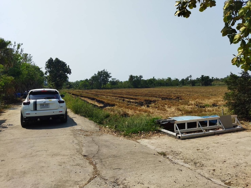 BL151 ขายที่ดิน – หนองเสือ, คลอง 7 ขนาด: ประมาณ 10 ไร่ แบ่งเป็น 2 แปลง ราคา: ไร่ละ 2.5 ล้าน บาท (ราคาต่อรองได้)