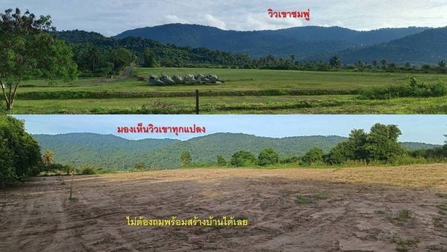 #เปิดจองที่ดินวิวเขาศรีราชาชลบุรี​#ที่ดินแบ่งล๊อคที่บรรยากาศธรรมชาติ​เหมาะแก่สร้างบ้านพักผ่อนกับบรรยากาศ​สบายๆร่มรื่น✴️เหลือเพียง​ 3​ ล๊อคสุดท้าย(จุดสีแดงจองได้)✴️แปลงละ​ ​ 1​ ไร่✴️เหลือล๊อค​ 2​ และ​3  เพียงล๊อคละ​  1.7​  ลบ✴️ล๊อคสุดท้าย​ เนื้อที่เยอะ​ ขายยกแปลงราคา​​ 2​  ลบ​ สนใจติดต่อ /นัดชม????081-4590982​  ลฎา????​098-9955449​  ????085-4226346  แอดมินAddLine​ID​: ladapa23​https://www.facebook.com/profile.php?id=100095037404786&mibextid