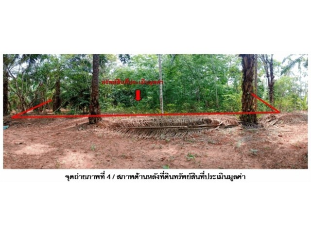 ขายบ้านเดี่ยวมือสองเมืองสุราษฎร์ธานี  โครงการ บรรจงเฮ้าส์ ท่าแขก