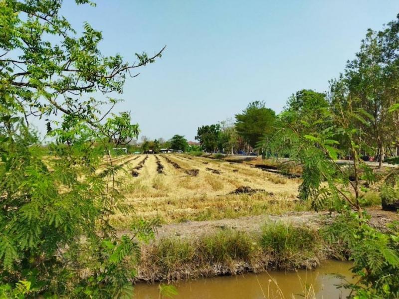 EPL-LS0343 ขายที่ดิน 10 ไร่ หนองเสือ, คลอง 7  เส้น รังสิต - นครนายก จากถนนวิ่งเลียบคลอง เข้าไปประมาณ 2 กม