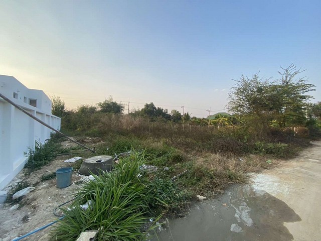 ขายที่ดินเปล่า 104ตรว. 728,000บ. ถนนคอนกรีต ถมดิน น้ำ ไฟฟ้า ต.หนองแหย่ง อ.สันทราย เชียงใหม่ขายที่ดินเปล่า เนื้อที่ 104 ตรว. ที่ถมแล้ว มีไฟฟ้า ประปา ถนนคอนกรีต 2 เลนขายเพียง 728,000 บาท ค่าโอนคนละครึ่ง เหมาะสำหรับปลูกบ้านเพื่ออยู่อาศัย ไม่ไกลจากแหล่งชุมชน การเดินทางสะดวกสบายพิกัด : ต.หนองแหย่ง อ.สันทราย จ.เชียงใหม่สถานที่ใกล้เคียงรพ.ดอยสะเก็ด 13 นาที (8.5 กม.)ม.แม่โจ้ 17 นาที (11 กม.)ตล