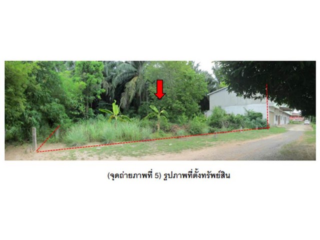 ขายที่ดิน  อำเภอเมืองสุราษฎร์ธานี  จังหวัดสุราษฎร์ธานี