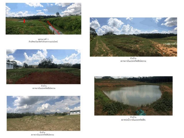 ขายที่ดิน  อำเภอพนม จังหวัดสุราษฎร์ธานี เนื้อที่  6 ไร่ 3 งาน 22 ตร.ว