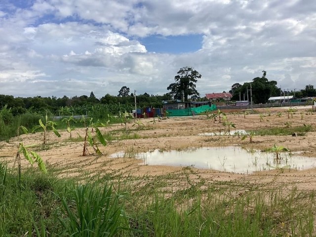 TEL:088-559 5199 คุณเอLine: https://line.me/ti/p/C0eGe0whLXขายที่ดินเปล่า นาพร้าว ศรีราชาติดถนนคอนกรีตแปลงที่ดินแล้ว (ทำเรื่องขอถนนได้เลย)เนื้อที่ดินรวม 1 - 0 - 95 ไร่ ราคาทั้งแปลง 5,000,000 บาท รวมค่าโอนT : A7                                                                           