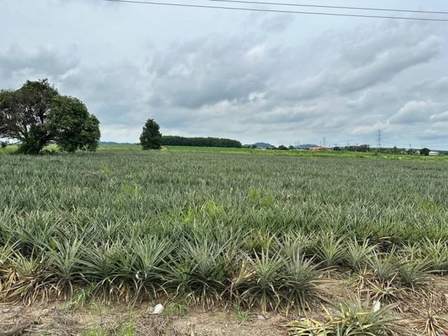 CONDOMINIUM Lumpini Ville Latphrao - Chokchai 4 ลุมพินี วิลล์ ลาดพร้าว - โชคชัย 4 1 BR 28 ตารางเมตร 8500 BAHT. ใกล้ โชคชัย 4 เดินทาง สะดวก