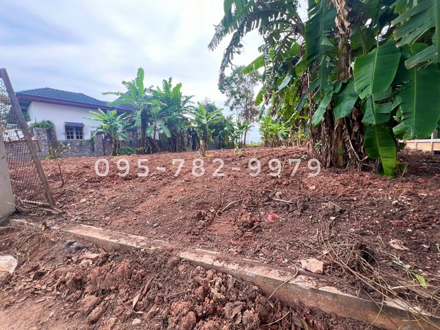 ขายที่ดิน ครึ่งไร่ ถมแล้ว ใกล้ หาดแม่พิมพ์ 500 เมตร อ.แกลง จ.ระยอง Land for sale Laem Maepim Beach 500 m.