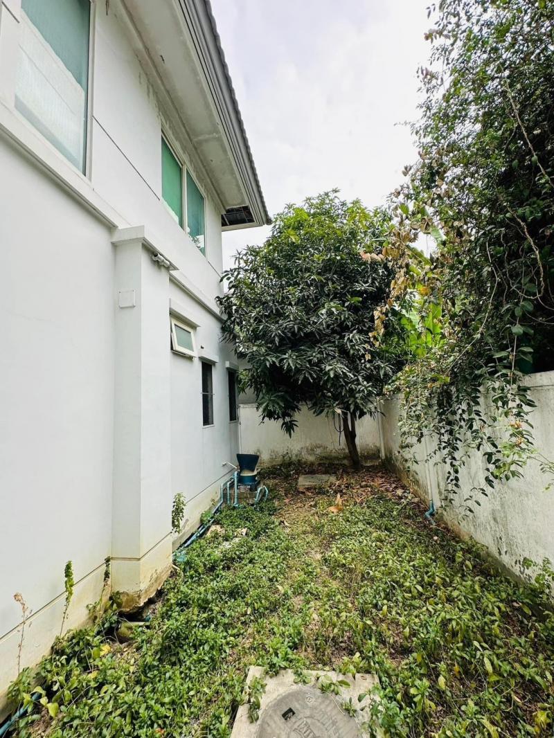 ให้เช่า / Vาย บ้านเดี่ยว หมู่บ้าน พฤกษ์ลดา-บางใหญ่ 2 15,000/m. 4.2mb. Tel.Uri 0958195559