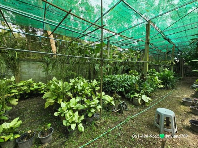 ขายบ้านสวน 2 ชั้นสุดสวย ใกล้สี่แยกจปร. ต.พรหมณี อ.เมืองนครนายก บ้านสวยสภาพดี อยู่ในแหล่งชุมชน พร้อมหิ้วกระเป๋าเข้าอยู่ได้เลย