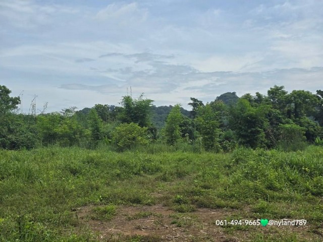 ขายที่ติดลำธาร 1 ไร่ ต.นาหินลาด อ.ปากพลี จ.นครนายก เข้าจากถนนลากยางประมาณ 1 กม.