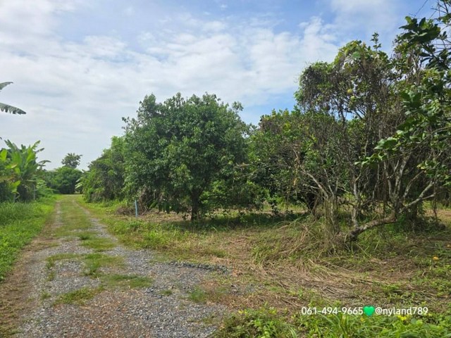 ขายที่ดินติดธารน้ำ น้ำไหลมาจากน้ำตกวังม่วง 3 ไร่ ต.นาหินลาด อ.ปากพลี จ.นครนายก บรรยากาศดี วิวภูเขาสุดสวย