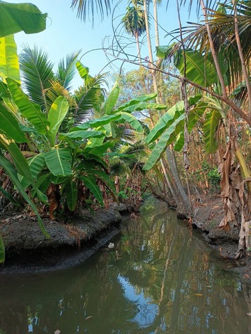 บ้าน ที่ดิน ต.หอมเกร็ด อ.สามพราน จ.นครปฐม พื้นที่ 5 RAI 0 ngan 5 ตร.วา 3นอน   ส ว ย นครปฐม