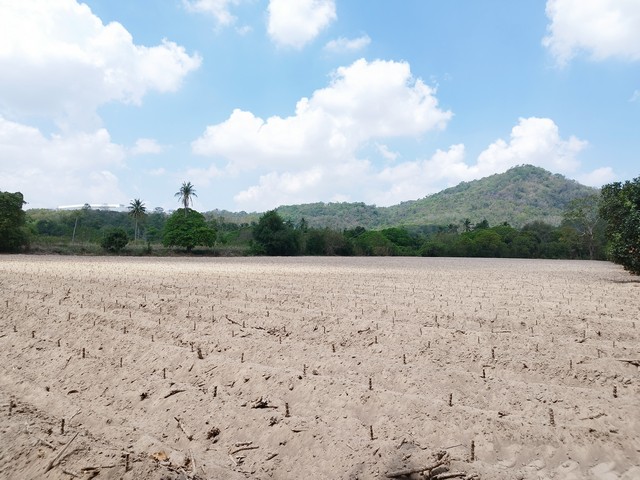 ขายที่ดินเปล่า  ข้างนิคมปิ่นทอง 3  เส้น 331 (บ่อวิน-มาบเอียง)  ไม่ต้องถม