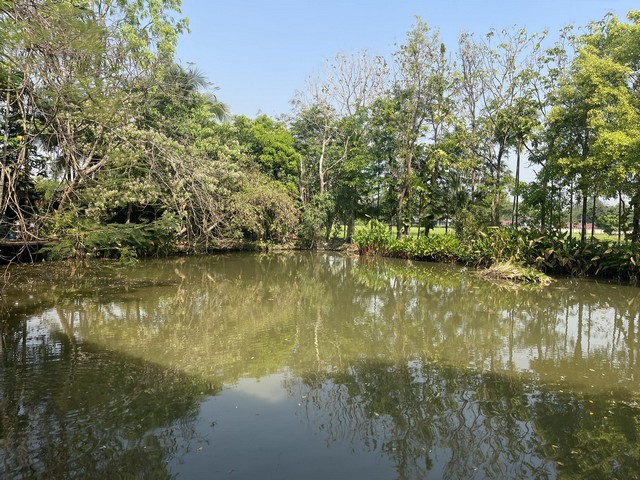 เซ้งรีสอร์ทในราคาสุดคุ้มที่ดินพร้อมทุ่งนารวม11ไร่ ต่อยอดได้อีกทำเลแม่ริม