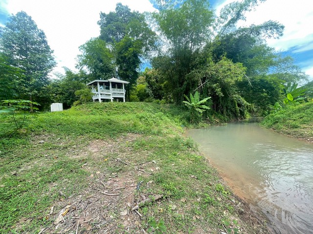 ที่ดินสวนทุเรียน ติดลำธารที่ไหลมาจากน้ำตกวังม่วง วิวภูเขาสวย นครนายก