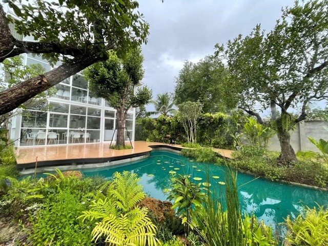 ที่ดินแบ่งขาย ราคาถูก 100-200 ตารางวา พร้อมสาธารณูปโภค ซอยพูลทรัพย์ คลอง 12 นครปฐม