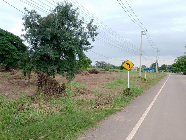 ที่ดินติดถนน เนื้อที่ 4-3-26 ไร่  ต.วังพิกุล  อ.วังทอง  จ.พิษณุโลก  ZN606