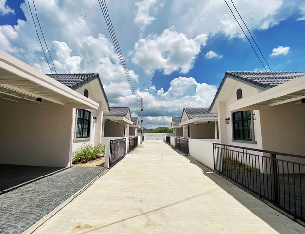 ขายโครงการมือ 1 ฟรีดาวน์  ต.หนองกะขะ อ.พานทอง จ.ชลบุรี