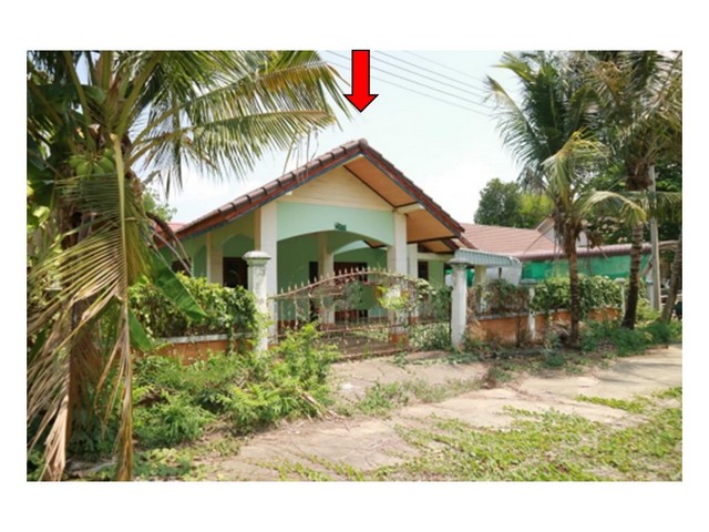   Code ID : PGKJB620005  ราคา  2,300,000   บาท ▸ เนื้อที่ 99 ตร.ว   พื้นที่ใช้สอย 190.8 ตร.ม.   ▸3 ห้องนอน 2 ห้องน้ำ    ▸1 ที่จอดรถ   สถานที่ใกล้เคียง ▸ใกล้  โรงพยาบาลพหลพลพยุหเสนา ▸ใกล้  ถนนคนเดินปากแพรก กาญจนบุรี ▸ใกล้  สถานีรถไฟกาญจนบุรี ▸ใกล้  ดูโฮม สาขา กาญจนบุรี  สอบถามเพิ่มเติม / นัดชม โทร. 097-419-5982(พลอย) โทร. 096-932-4624(ออมสิน) Line : @panaya (มี@ด้านหน้า)  ปรึกษาสินเชื่อฟรี One Stop Service ดูแลตั้งแต่ต้นจนจบบริษัท ปณยาคิดดี จำ�