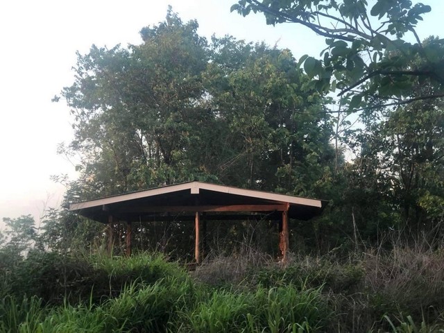 ขายสวนยาง ราคาต่ำกว่าประเมิน เนื้อที่ 107 ไร่ 3 งาน เมืองตา