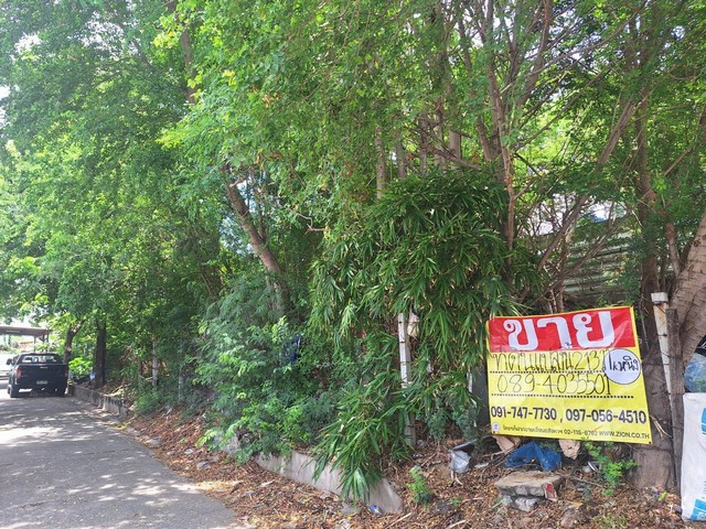 ขายที่ดิน 213 ตร.วา.  ซอยเจริญสุข ใกล้ รพ.สมุทรปราการ  ปากน้ำ สมุทรปราการ  ZW446