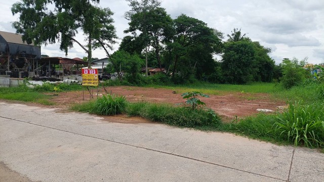 ขายที่ดินสวย 102 ตร.วา ใกล้โชว์รูม ISUZU บ้านจั่น ซอยโนรีฟาร็มผึ้ง   อ.เมือง จ.อุดรธานี  ZE681