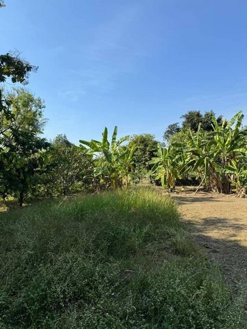 ที่ดินเปล่า ติดโครงการใหม่กาญจน์กนก โซนสุเทพ