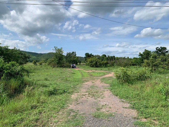 ขายด่วนที่ดินแปลงสวย 48-3-95 ไร่ ติดถนนสุระนารายณ์ ตรงข้ามการไฟฟ้าส่วนภูมิภาคเขาแหลม  ลพบุรี   ZJ129