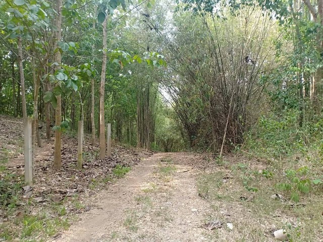 พื้นที่ดิน ที่ดิน ต.ปอน อ.ทุ่งช้าง จ.น่าน  73400000 thb ไม่ไกลจาก ห่างด่านตรวจคนเข้าเมืองไทยลาวประมาณ 25 กิโลเมตร ราคาถูก