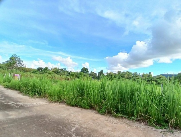 ขายด่วนที่ดินทุ่งโปรงสัตหีบ 1-3-96ไร่ วิวภูเขาสวย ที่ดินถมแล้ว ติดถนน น้ำไฟพร้อม  ZJ128