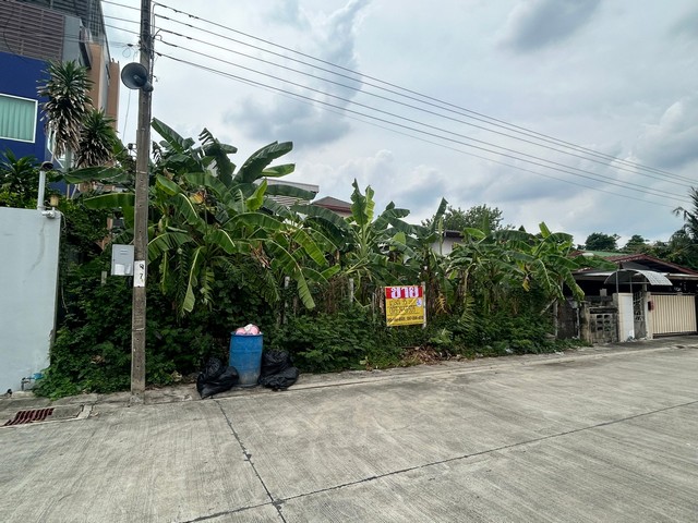 ขายที่ดิน 95 ตารางวา โชคชัย 4 ซอย 54 แยก 25  ลาดพร้าว  กรุงเทพ  ZJ130