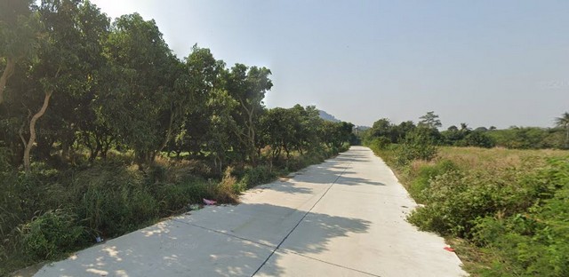 ที่ดิน ที่ดินเขาชีจรรย์ สัตหีบ ชลบุรี 15 Square Wah 3 ngan 7 RAI  31150000 THAI BAHT FOR SALE!! ชลบุรี