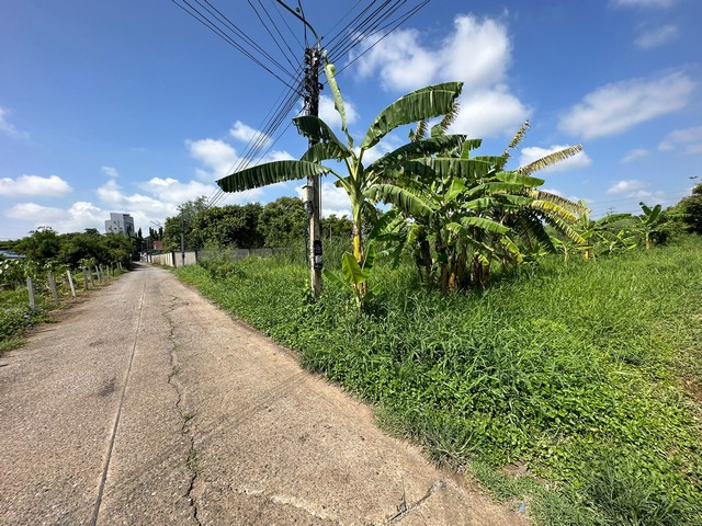 เปิดขายที่ดินทำเลดี มีอนาคต ใกล้ทางหลวง 500 เมตร ขนาด 1ไร่ จ.สระบุรี