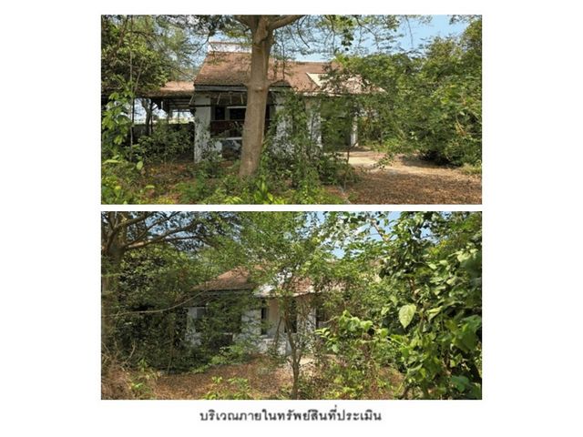 ขายบ้านเดี่ยวมือสอง อำเภอบ้านโป่ง ราชบุรี โครงการ ราชพฤกษ์