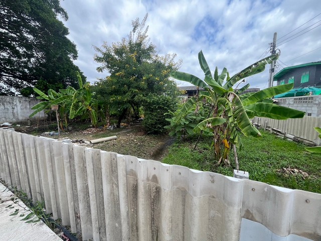 ขายที่ดินเปล่าซอยคลองเปรมประชากร  197.8 ตารางวา  ตรงข้ามโรงแรมอมารี ดอนเมือง  กรุงเทพ  ZT484