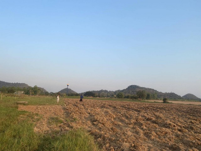 ขายที่ดินทำเลดี 5 ไร่  ตำบลธรรมเสน อำเภอโพธาราม จังหวัดราชบุรี