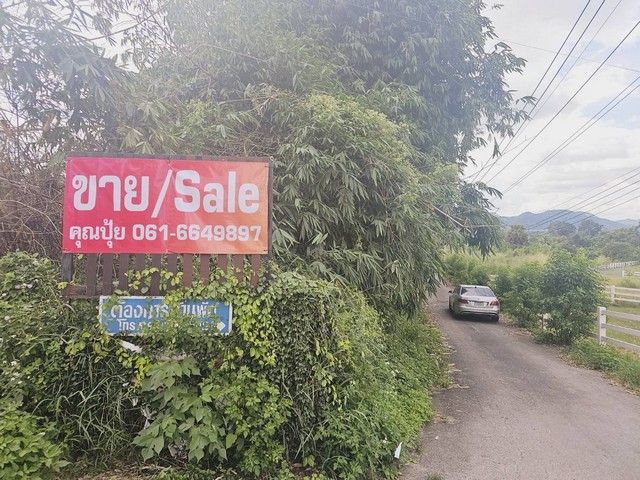 ขายที่เปล่าปากช่อง ปากทางขึ้นเขาใหญ่ห่างถ.มิตรภาพเพียง 600 เมตรต.ขนงพระ อ.ปากช่อง จ.นครราชสีมาเนื้อที่ 10 ไร่ 3 งาน 96.4 ตร.วโฉนดปลอดภาระขายไร่ละ 5.5 ล้านบาทเข้าออกได้ 2 ทางห่างถนนมิตรภาพ 600 เมตรใกล้แม็คโคร-ใกล้ไทวัสดุ-ใกล้โลตัสถนนหน้าที่หน้ากว้าง 6 เมตรใกล้แหล่งท่องเที่ยวใกล้รีสอร์ทใกล้หมู่บ้าน แหล่งชุมชนส่วนตัว สงบ ร่มรื่นสนใจติดต่อคุณอัมราภัสร์Tel : 062-5566954Line ID : 0616649897