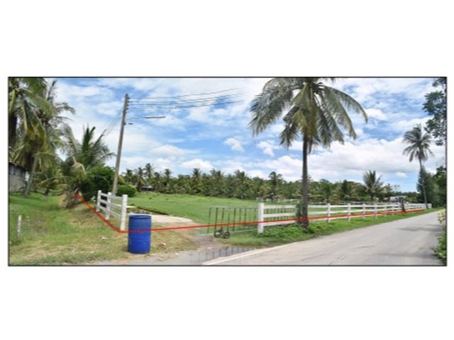   Code ID : PGPBI-LB-A-660001  ราคา 10,000,000  บาท ▸ เนื้อที่ 13 ไร่ 3 งาน 33.30 ตร.ว   ▸ 4 ห้องนอน 3 ห้องน้ำ    ▸ 3 ที่จอดรถ   พิกัดทรัพย์ : https://maps.app.goo.gl/nuBm79coAZStrbhD6  สถานที่ใกล้เคียง ▸ใกล้ วัดเฟื้อสุธรรม ▸ใกล้ โรงพยาบาลบ้านแหลม ▸ใกล้ ตลาดสดบ้านแหลม  ▸ใกล้ โฮมโปร เพชรบุรี  สอบถามเพิ่มเติม / นัดชม โทร. 097-419-5982(พลอย) โทร. 096-932-4624(ออมสิน) Line : @panaya (มี@ด้านหน้า)  ปรึกษาสินเชื่อฟรี One Stop Service ดูแลตั้งแต่ต้นจนจบบริษัท ปณยาคิดดี จำกัด