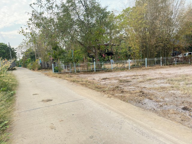 ขายด่วน ที่ดิน ถมแล้ว ใกล้วัดหลวงพ่อปากแดง สาริกา นครนายก